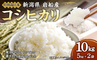 B4034 【令和5年産米】特別栽培米 新潟県岩船産 コシヒカリ 10kg
