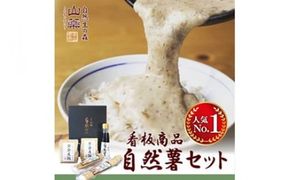 109-1328　お店の味をご家庭で。【箱根自然薯の森 山薬】自然薯セット(2～3人前×2回分)