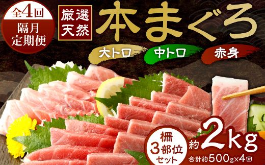 [ 定期便 全4回 隔月 お届け ]厳選天然本まぐろ大トロ・中トロ・赤身 お刺身用 2カ月に1回 合計4回 サク 柵 スライス 切り落とし 天然まぐろ 天然マグロ マグロ まぐろ 大トロ 中トロ 赤身 鮪 刺身 高知 室戸 冷凍 瞬間冷凍 小分け 便利 74,000円 送料無料 室戸 mgr all