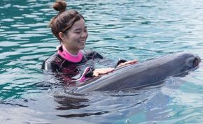 ドルフィンスイム１名（５歳以上小学生） dr013