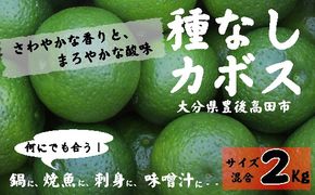 0B1-17 種なしカボス2kg（サイズ混合）