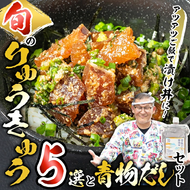 大将の今日のおすすめ！「旬の鮮魚りゅうきゅう5選と青物だし1個セット」詰め合わせ 魚 海鮮 簡単 りゅうきゅう 漬け丼 お茶漬け だし茶漬け 醤油 調味料 加工品 大分県 佐伯市 【GA003】【ポートラインサービス (有)】