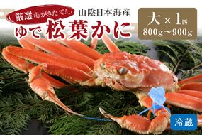 【1～3月発送】厳選湯がきたて！山陰日本海産ゆで松葉かに　800g～900g大サイズ/北畿水産　HK00194