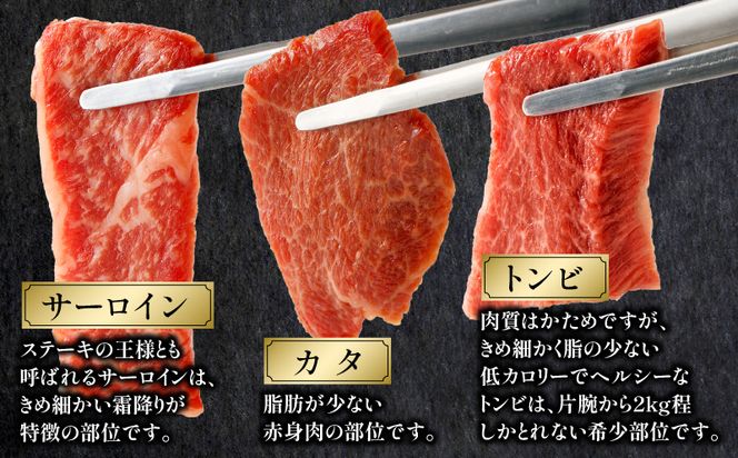 宮崎牛 焼肉食べ比べ6種盛 600g_M243-031