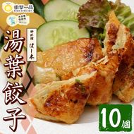 衝撃一品！御料理はし本 湯葉餃子 (計10個) 餃子 ギョーザ 豚肉 牛肉 湯葉 おつまみ おかず お惣菜 冷凍 大分県 佐伯市【AB224】【柳井商店】