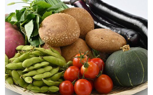 産地直送】採りたて野菜セット≪旬の野菜 新鮮 詰め合わせ 栃木