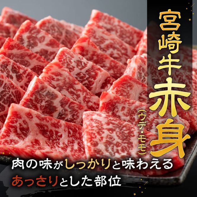 宮崎牛赤身霜降り焼肉2種 800g【肉 牛肉 国産 宮崎県産 宮崎牛 黒毛和牛 和牛 焼肉 BBQ 4等級  A4ランク 肩ロース ウデ モモ E11124】