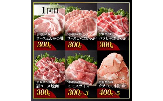 【訳あり定期便】宮崎県産豚肉 お楽しみセット6ヶ月定期便【 ロース とんかつ 豚バラ しゃぶしゃぶ 生姜焼き 小間切れ 豚 肉 豚肉 ミヤチク 全6回 】[D00638t6]