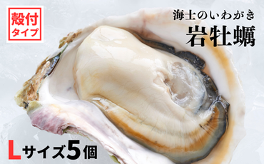 【海士のいわがき】新鮮クリーミーな高級岩牡蠣 殻付きLサイズ×５個