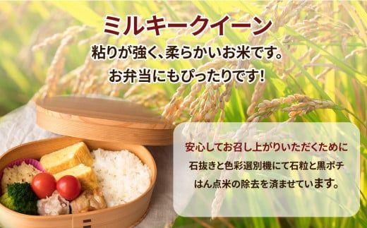 【先行予約】令和6年産 茨城県産 ミルキークイーン 精米4kg（2kg×2袋） | ミルキークイーンは粘りが強くかつ柔らかいお米です。お弁当にぴったりと言われています。 ※離島への配送不可　※2024年9月下旬～2025年8月上旬頃より順次発送予定