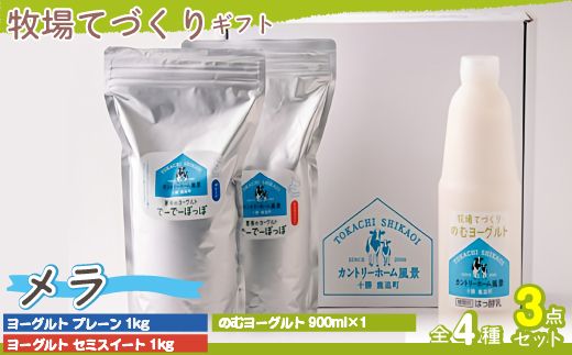 ykCǒzq̎Mtgy  zSKB024