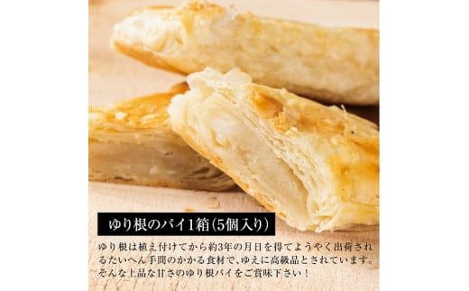 ＜富貴堂　ゆり最中1箱（6個入）ゆり根のパイ 1箱（5個入）＞高級ゆり根のスイーツセット 北海道 道産 国産 乙部町産 ゆり根 高級ゆり根 パイ 最中 上品 甘さ 菓子 お菓子 詰め合わせ