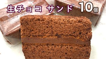 【 数量限定 】 生チョコ サンド 10個 贅沢 濃厚 スイーツ デザート ケーキ チョコレート 冷凍 [BX002us]