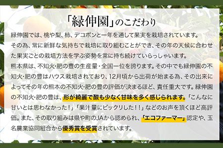 『緑伸園』の不知火・肥の豊 約5kg 《12月中旬-1月下旬出荷》 あのデコポンと同品種---sg_ryokusira_k12_24_24000_5000g---