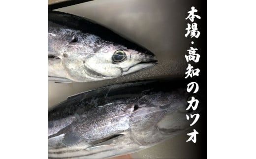 ～四国一小さなまち～ 訳ありタタキ 1.5kg 12ヶ月定期便 カツオ かつお 鰹 鰹のたたき たれ・おろし生姜・柚塩付き 刺身 さしみ 惣菜 おかず 海鮮 魚介類 お取り寄せ ご自宅用 ご家庭用