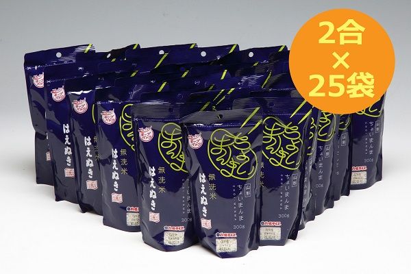 山形県産 ちょいまんま はえぬき無洗米 2合（300g）×25袋セット ブランド米 無洗米 白米 使い切り 手軽