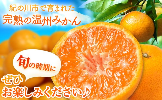 【先行予約】完熟 温州みかん 約5kg (45~55玉) こだまファーム《10月中旬-2月中旬頃出荷》 和歌山県 紀の川市 みかん ミカン 果物 フルーツ---wsk_kdf7_10c2c_25_12000_5kg---