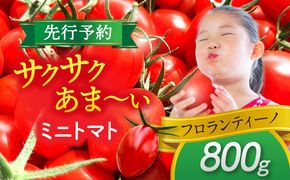 【先行予約】　ミニトマト(フロランティーノ)　800g　トマト　野菜　新鮮　期間限定トマト　愛西市/株式会社石原農園[AEBG004]