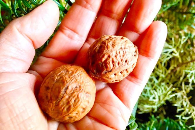 【ハーブ満喫コース】ハーバルハンドバス体験チケット（2名様分） [ハーバルヘルスケアトレーナーの会 みちくさ 長野県 池田町 48110079]