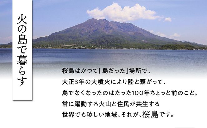 桜島つばきネイルオイル セット本数が選べる！2本セット～　K062-017