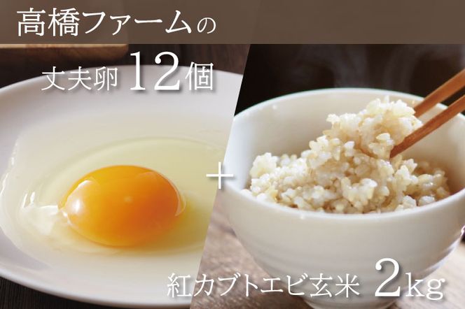 AQ005　高橋ファームの丈夫卵+紅カブトエビ玄米2kg