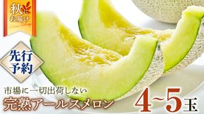 完熟 アールスメロン 大箱 4玉～5玉 2025年産 先行予約 メロン マスクメロン 青肉 果物 フルーツ 茨城県産 期間限定 数量限定 [AF082ci]