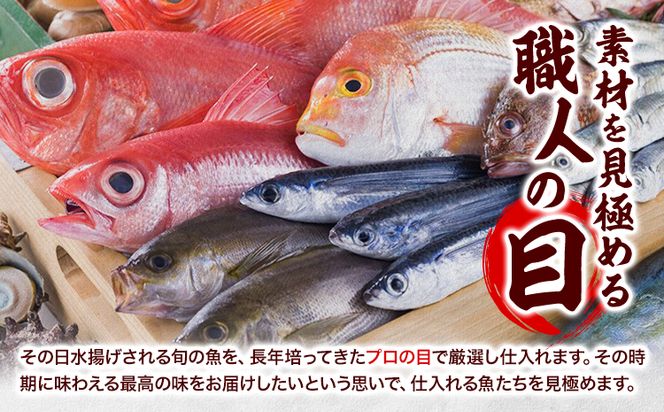 干物 ひもの 海鮮 熟成干物セット 4 ~ 5 種 セット 笠岡魚市場《45日以内に出荷予定(土日祝除く)》 岡山県 笠岡市 旬 魚 お魚---A-04---