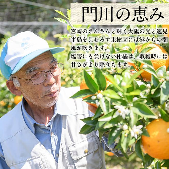 ＜先行予約受付中！2026年2月下旬～4月末発送予定＞宮崎県門川町産せとか(約3kg) 柑橘 果物 数量限定 期間限定 国産 フルーツ 常温保存 遠見半島 宮崎県 門川町 【勝農園】【AE-18】
