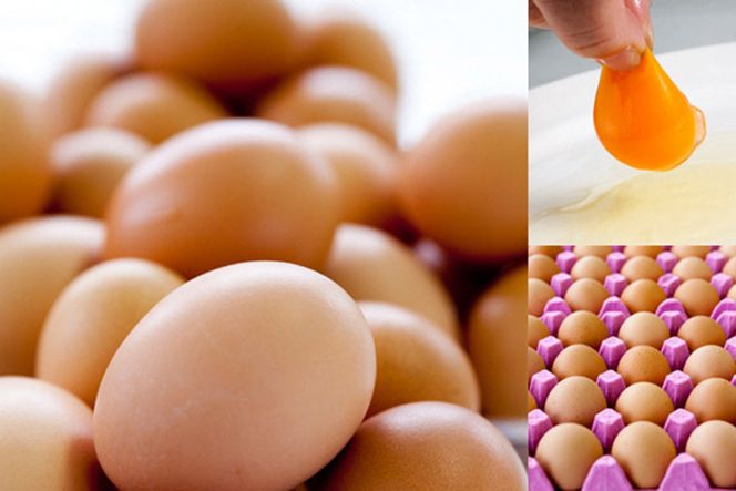 AE136 島原のたまご 黄味子Ａセット