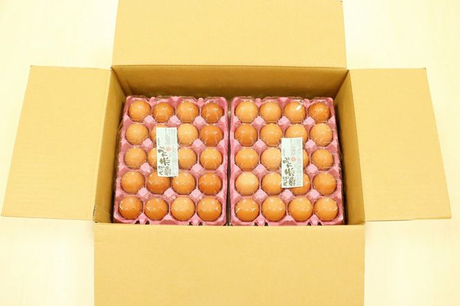 【6回定期便】新鮮 卵 京都・丹波の赤たまご 120個（100個＋割れ保証20個）×6ヶ月 計720個 《生卵 たまご 鶏卵 小分け 半年間》※北海道・沖縄・離島への配送不可