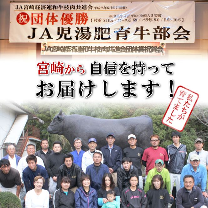 ＜JAこゆ牛A4～サーロインステーキ 250g程度×3枚＞翌月末迄に順次出荷【c149_ja_x1】