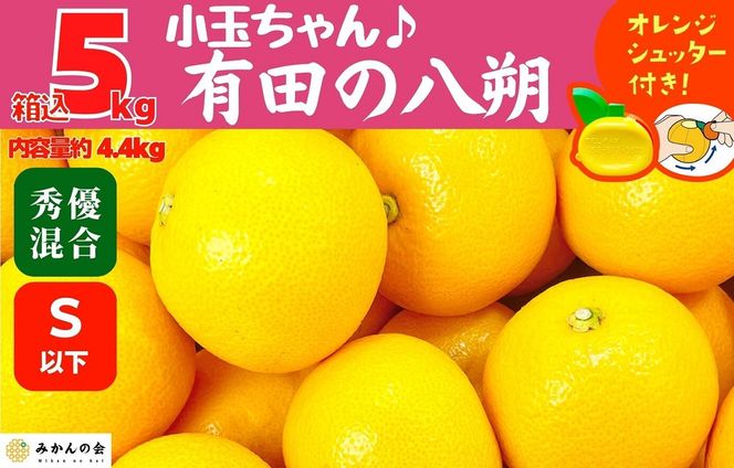 八朔 (はっさく) とにかく 小玉 箱込 5kg(内容量約 4.4kg) 秀品 優品 混合 Sサイズ以下 和歌山県産  産地直送【おまけ付き】【みかんの会】AX238