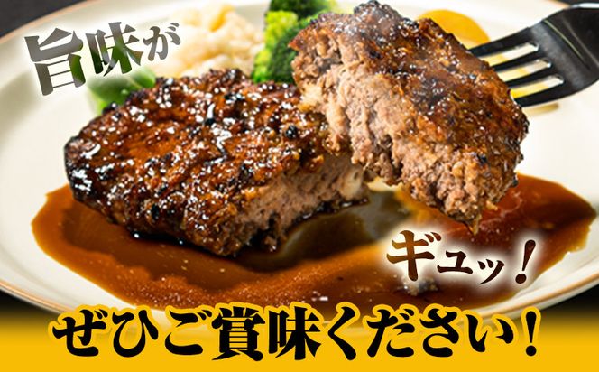 馬肉ハンバーグ 16個セット 130g×16個 千興ファーム 《60日以内に出荷予定(土日祝除く)》 熊本県 御船町 ハンバーグ 馬肉ハンバーグ 馬肉 個包装 真空パック 人気 送料無料 専門店 冷凍惣菜 冷凍 時短---mifune_snk_25_16set---