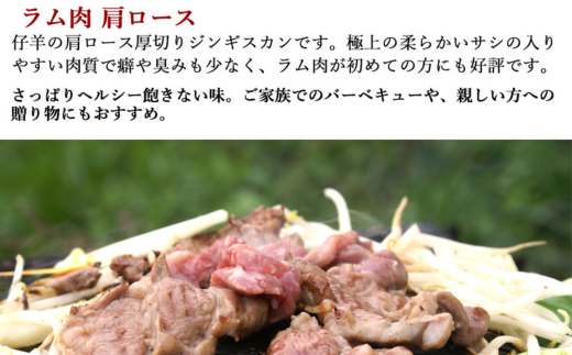 味付けジンギスカン500g×1 ラム肩ロース500×1 MROA054