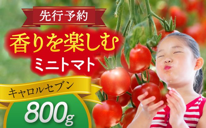 ymszys\z _N10菇^ ~jg}g(LZu)800g g}g  VN Ԍg}g s / АΌ_[AEBG005]