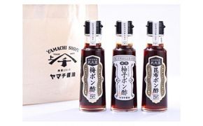 能登杉樽仕込 ポン酢 3種 各100ml 計300ml セット [近岡屋醤油 ヤマチ醤油 石川県 宝達志水町 38601215] 柚子ポン酢 昆布ポン酢 梅ポン酢 詰め合わせ 食べ比べ 調味料 化粧箱 お試し おためし