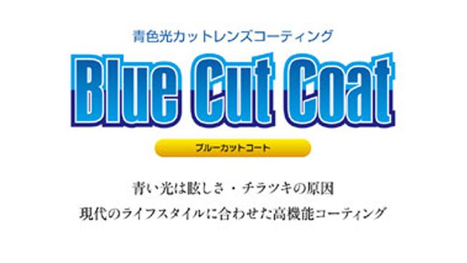 【 リアル メガネ タートル 】 REAL 永久 若狭 度無しブルーライトカットレンズ仕様 眼鏡 メガネフレーム 国産 鯖江製 [DU09-10-NT]