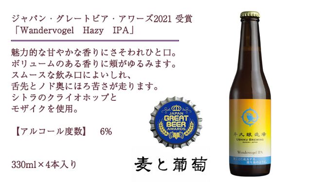 2年連続！《 ジャパン・グレートビア・アワーズ 受賞 》クラフトビール 3種 計 12本 セット 飲み比べ 茨城県産 牛久醸造場 330ml × 12本 ビール 地ビール クラフト お酒 贈り物 [BJ026us]