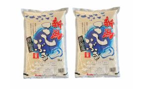 【令和6年産米】 新潟県産 こしいぶき 5kg×2袋（合計10kg） 精米 お米 白米 1033001