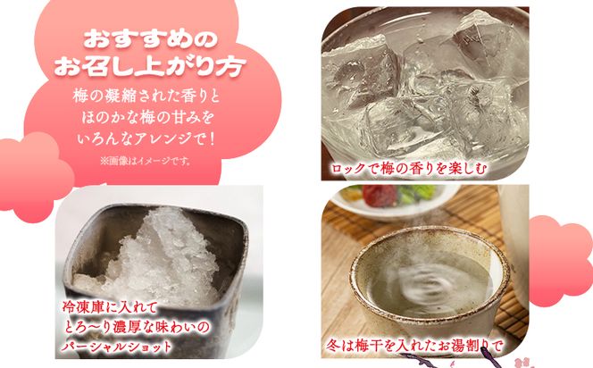 紀州の地酒 貴梅酎 きばいちゅう 25度 720ml×2本 エバグリーン 中野BC株式会社《30日以内に出荷予定(土日祝除く)》和歌山県 日高町 酒 お酒 地酒 梅焼酎---wsh_evg3_30d_24_14000_720ml---