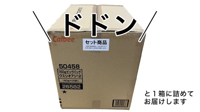 カルビー ポテトチップス BIGBAG 160g 3種 各4袋セット (計 12袋 ) うすしお ・ のりしお ・ コンソメパンチ ポテチ お菓子 おかし 大量 スナック おつまみ ジャガイモ じゃがいも まとめ買い 数量限定 [DA004us]