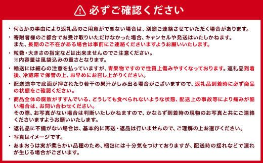 【ギフト用・特別栽培】あまおう EX 約450g×2パック【2025年1月上旬～3月下旬発送予定】