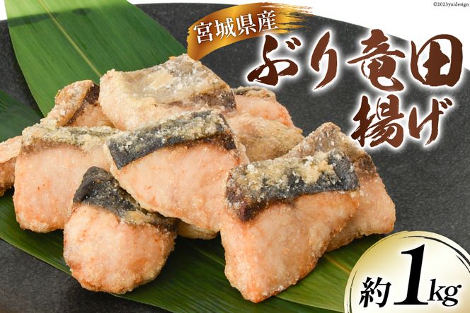 y{錧Cszu cg 1kg {錧Y [肭݂炢 {錧 Cs 20564028] y  Ԃ c  ȒP Ⓚ  ܂ ⓀHi 
