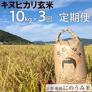 【定期便】【令和6年産先行予約】米 キヌヒカリ 定期便 玄米 10kg×3カ月〈アグリにのうみ〉京都・亀岡産《令和6年産》◇ ※北海道・沖縄・離島への配送不可※2024年10月中旬～11月中旬頃に順次発送予定