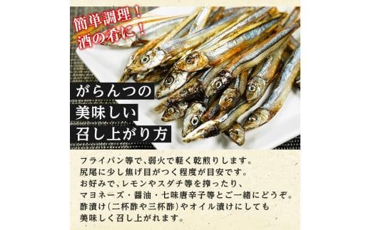 貴美女児一夜干し(計168匹・28匹×6パック)国産 干物 ひもの キビナゴ きびなご 魚介 乾物 おつまみ おかず【マルフク川畑水産】akn029-11