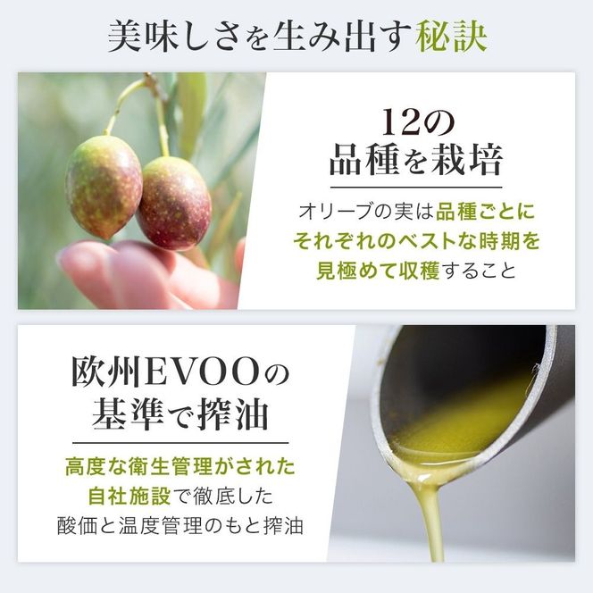 オリーブ セット EXオリーブオイル＆オリーブ新漬け 静岡の恵み 食用油 植物オイル 植物性 ソテー サラダ パスタ ドレッシング 調理 料理 おかず 静岡県 藤枝市【PT0004-000005】