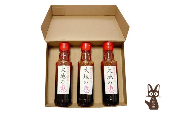 にんにくドレッシング 「大地の恵」 激辛200ml×3本 [矢口農園 長野県 池田町 48110489] 