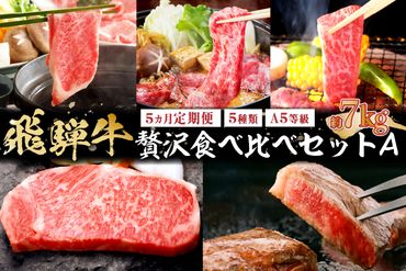 『飛騨牛』贅沢食べ比べセットB 定期便※5回に分けてのお届けとなります。[0016-099]