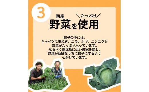 ちゃこばあちゃんの黒豚入りうんまか生餃子　60個入り　K027-001