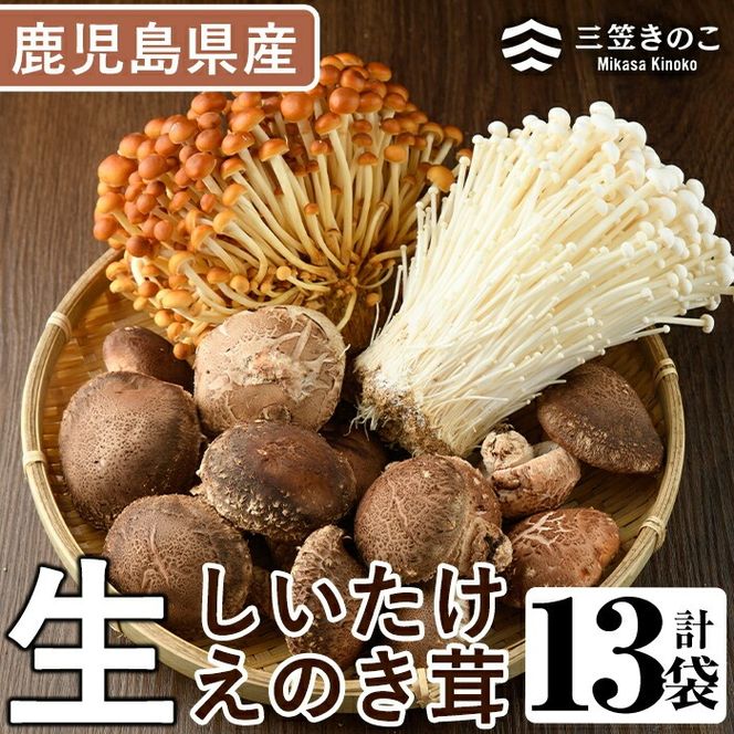 数量限定！原木生しいたけと生えのき茸セット(13袋・合計2.7kg)国産 椎茸 個包装【三笠えのき茸生産組合】a-12-222-z